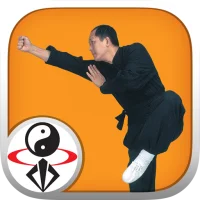 Shaolin Kung Fu